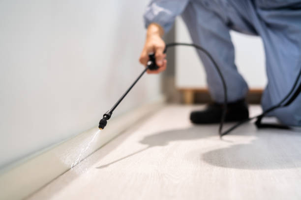 Licensed Mosquito Control service in Genoa, IL - Show Me Pest Control