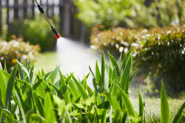 24/7 Emergency Mosquito Control experts in Genoa, IL