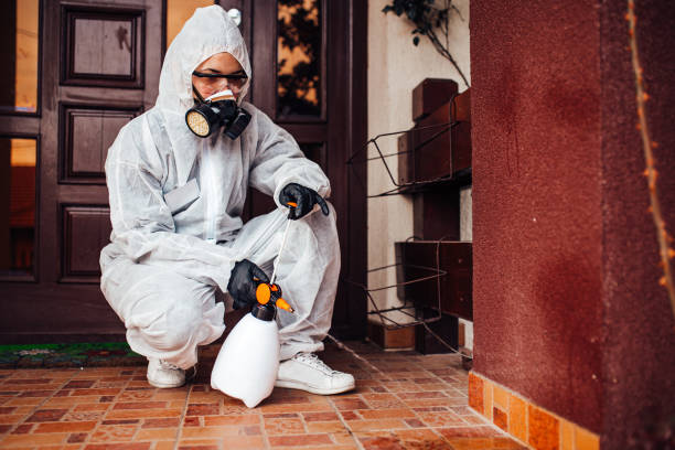 Reliable Mosquito Control contractor in Genoa, IL by Show Me Pest Control