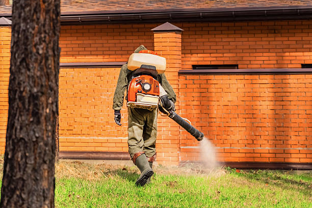Top rated local Mosquito Control specialists in Genoa, IL